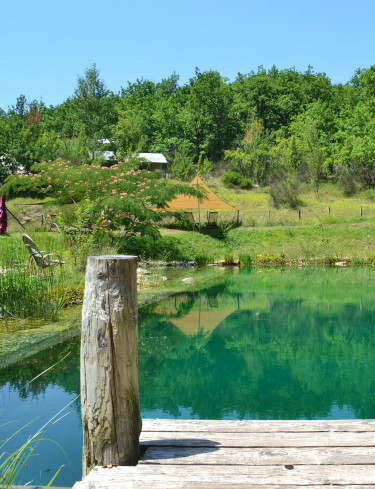 Le Camp's natural swimming pool. Twenty by five metre swimming zone surrounded by a regeneration area. It is a haven for wildlife and an incredible swimming experience. As seen in The Guardian Travel's article “Aquatic bliss: 10 of Europe’s best holiday sites with natural pools”.