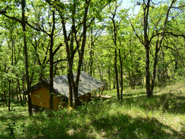 Luxury safari glamping tent hidden in French woodland